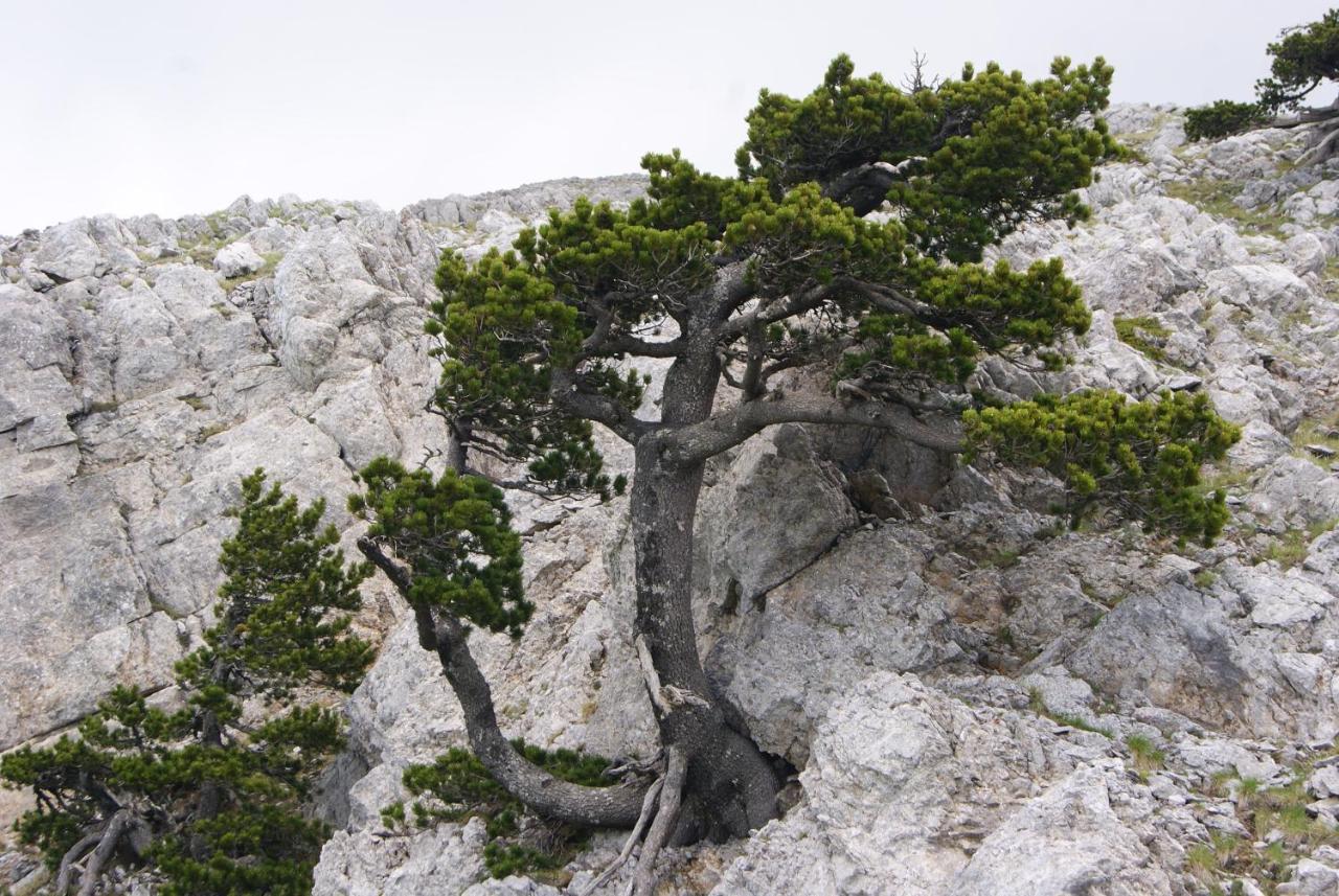 Tana Libera Tutti 1 Nature, Yourself, Love Viggianello Buitenkant foto