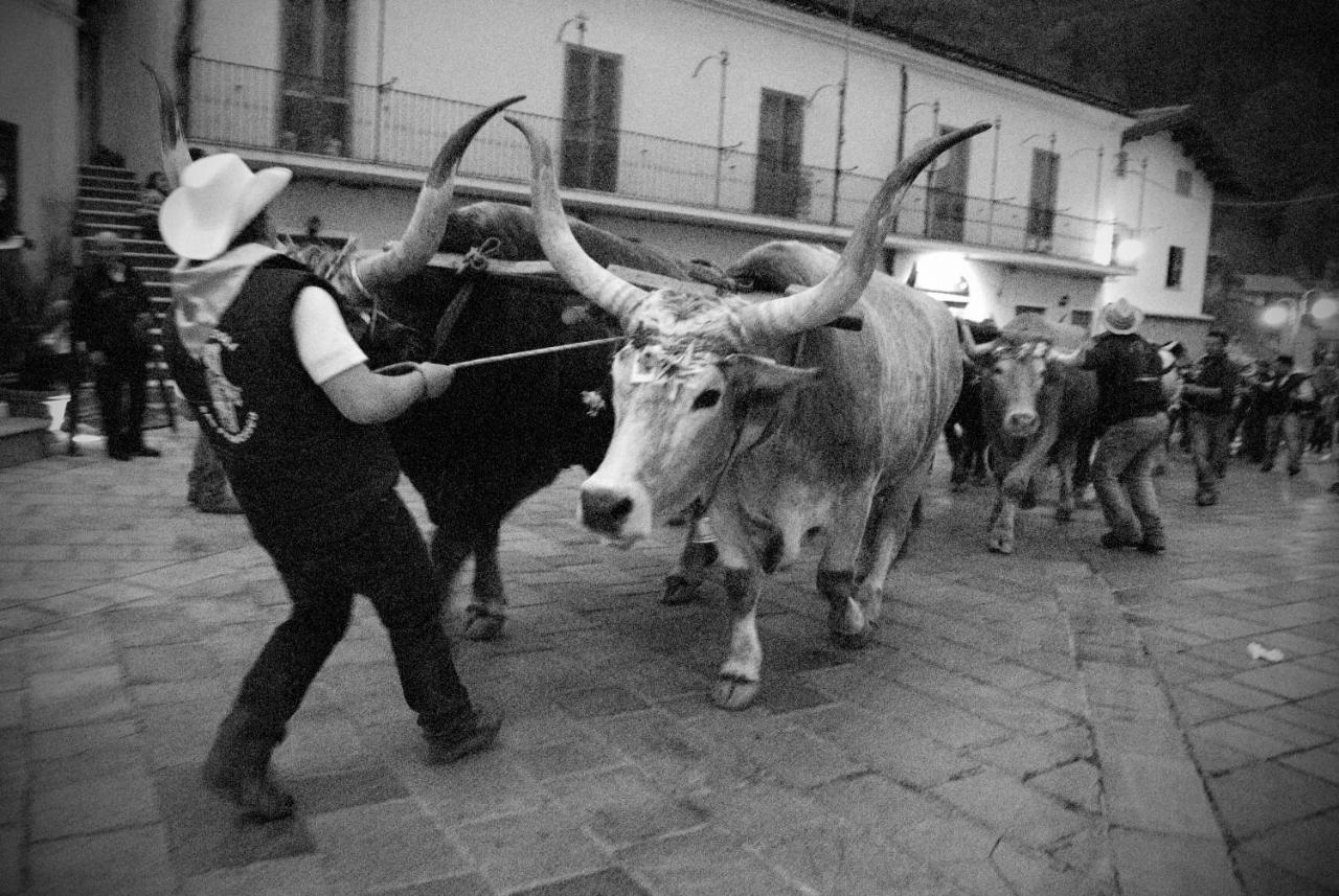 Tana Libera Tutti 1 Nature, Yourself, Love Viggianello Buitenkant foto